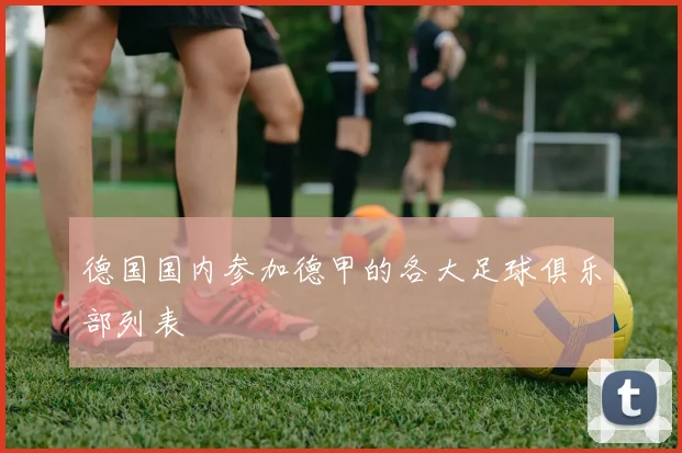 德国国内参加德甲的各大足球俱乐部列表