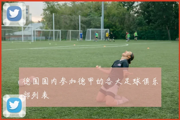 德国国内参加德甲的各大足球俱乐部列表