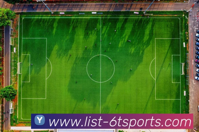 6T体育APP 封面图